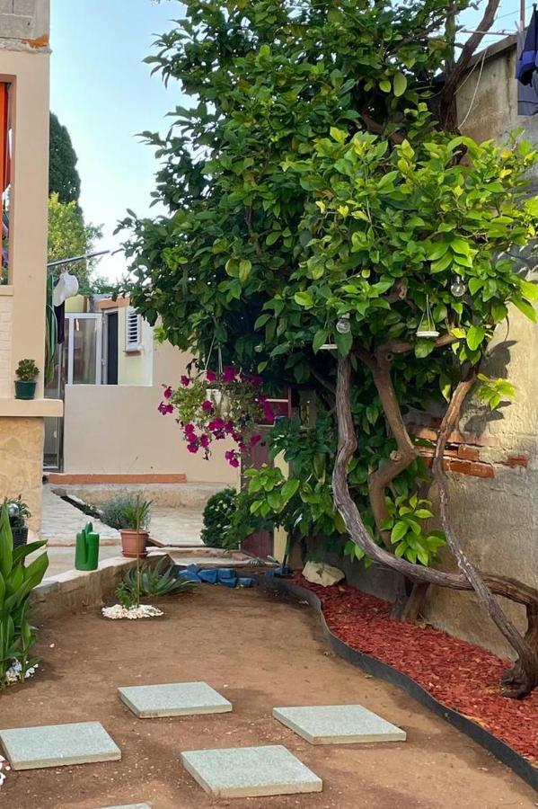 Lumar Holidays And Apartments Preko Exterior foto